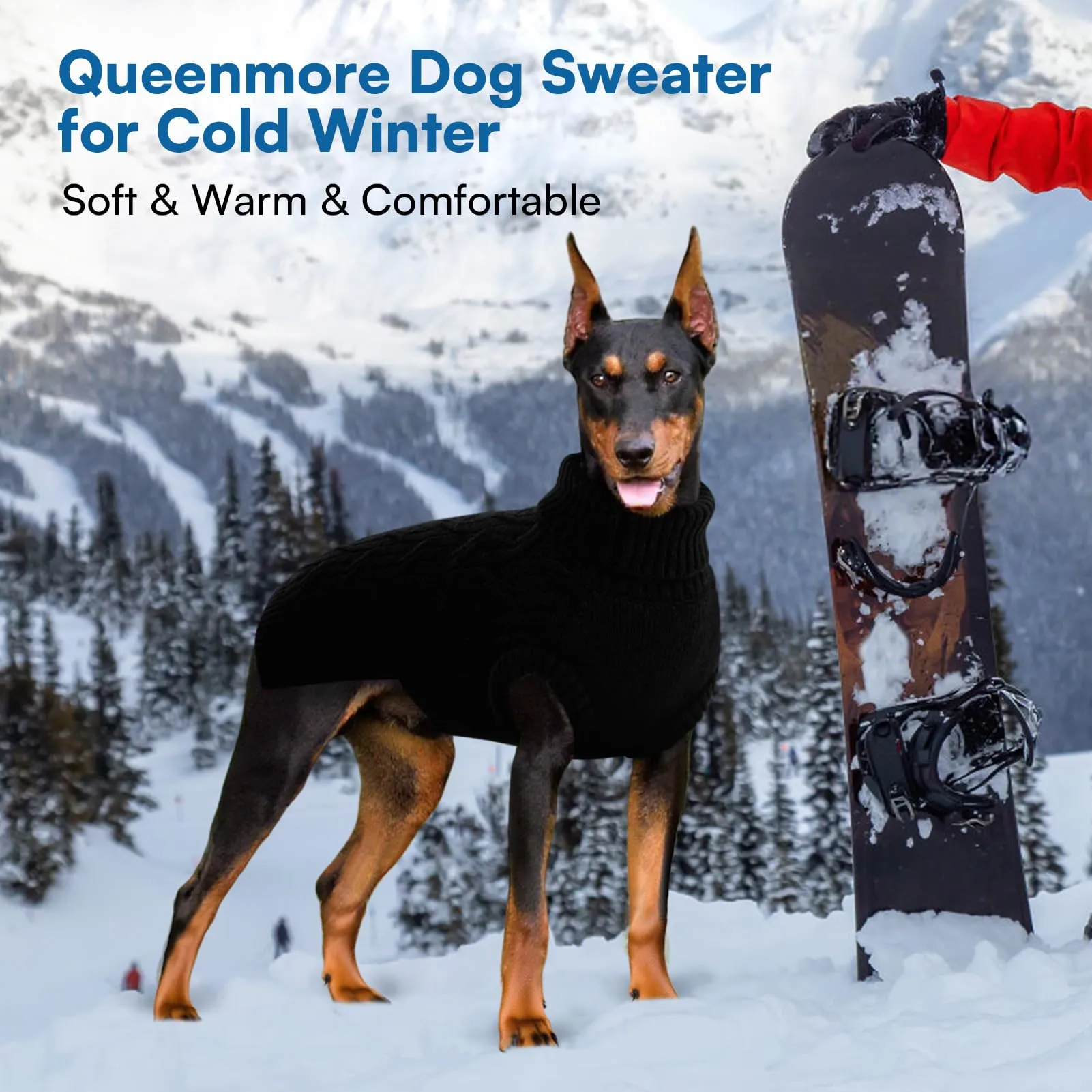 Queenmore Maglione Cane Taglia Grande - Maglione Dolcevita Caldo - immagine 5