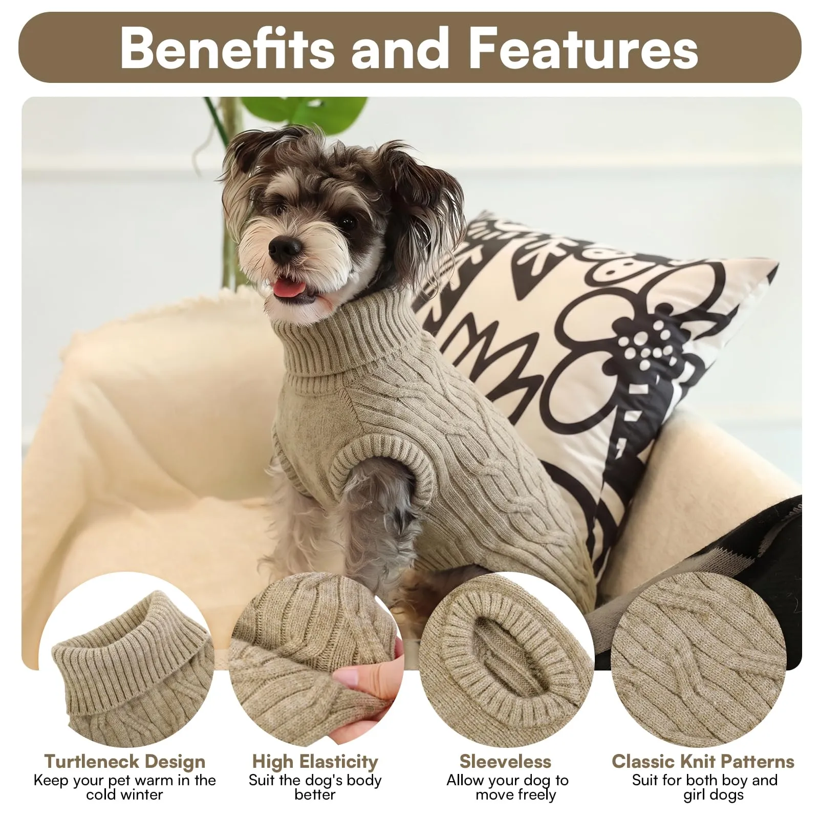 Queenmore Maglioncino Cane XS Maglioncino Cane Piccolo, Morbido Dolcevita - immagine 3