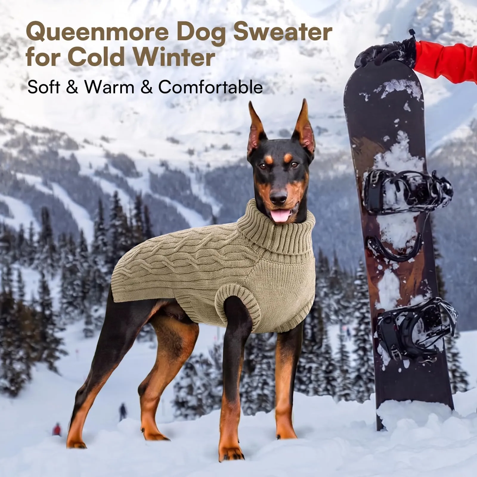 Queenmore Maglioncino Cane XS Maglioncino Cane Piccolo, Morbido Dolcevita - immagine 5