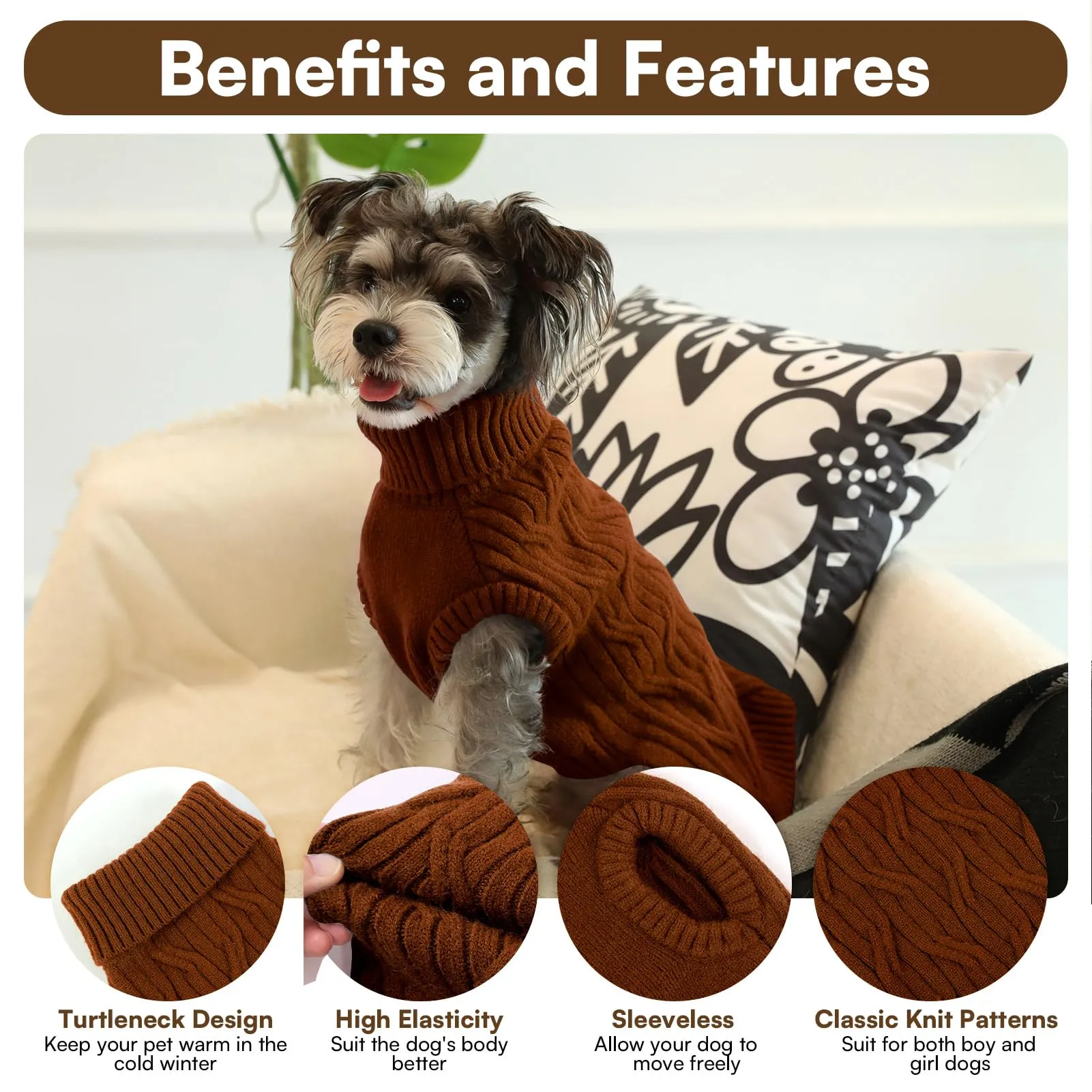 Queenmore Maglione Cane XS - Maglioncino Cane Piccola, Morbido Dolcevita - immagine 3