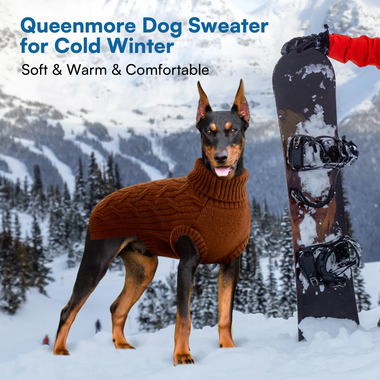 Queenmore Maglione Cane XS - Maglioncino Cane Piccola, Morbido Dolcevita - immagine 5