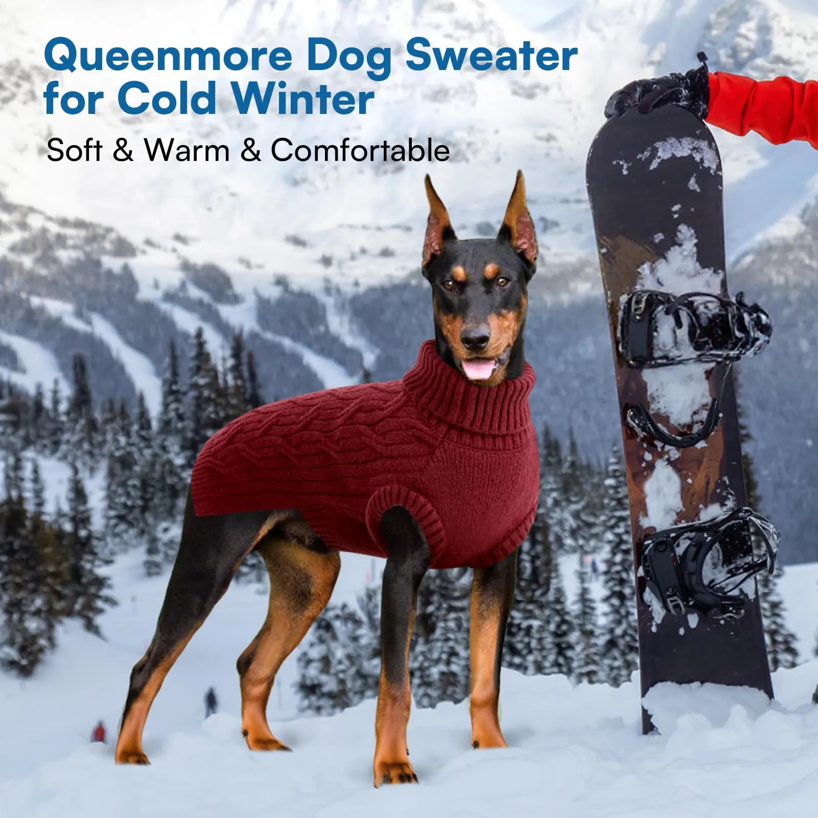 Queenmore Maglioncino Cane XS Maglioncino Cane Piccolo, Morbido Dolcevita - immagine 5