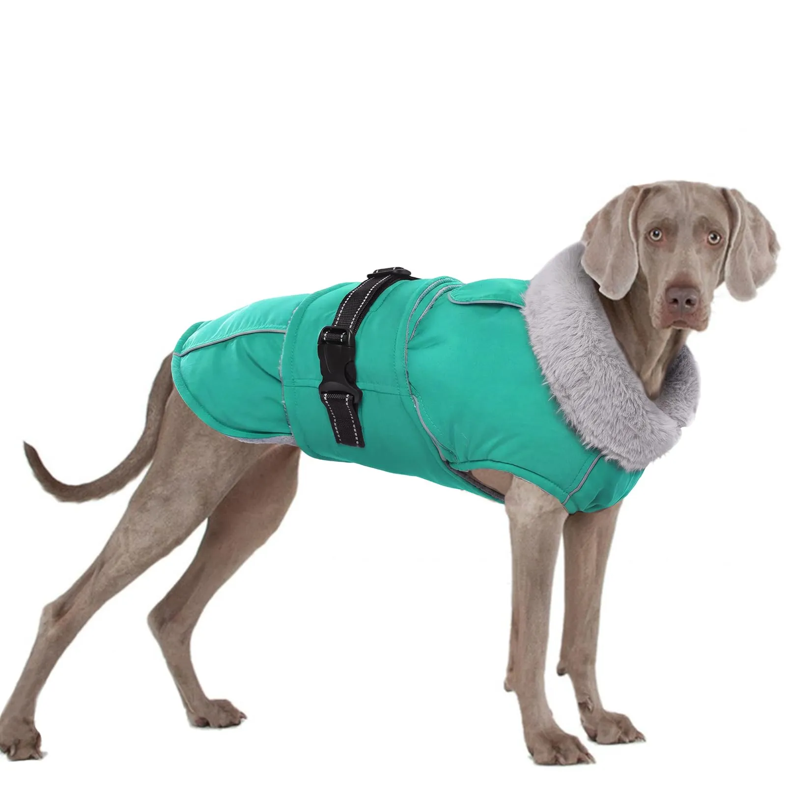 Cappotto per cani XXL, giacca per cani di taglia grande, cappotto in pile per cani di taglia grande, caldo cappotto per cani di taglia grande (turchese, 2XL) - immagine 1