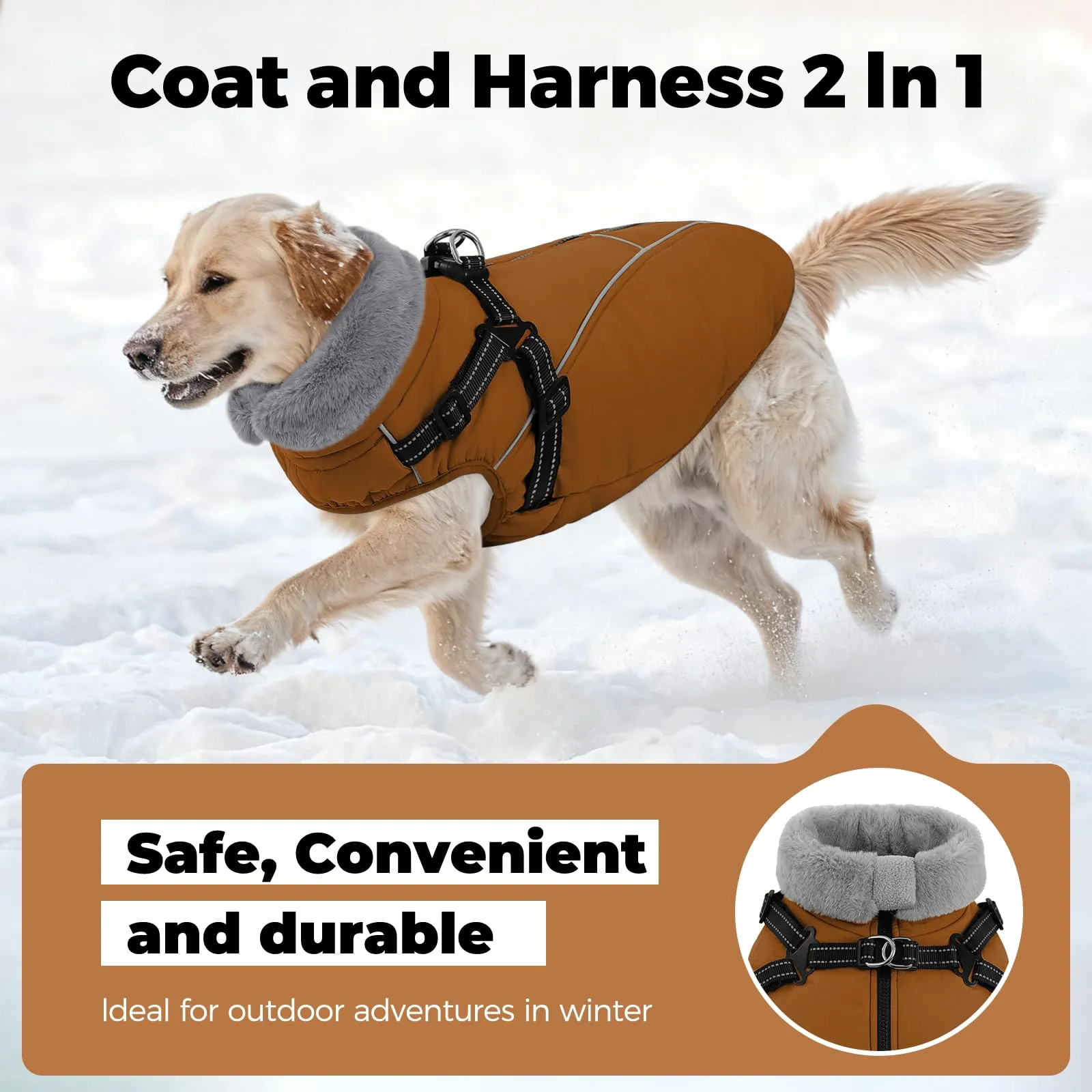 Queenmore Cappotto Cane Taglia Media Impermeabile Chiusura con cerniera - immagine 4