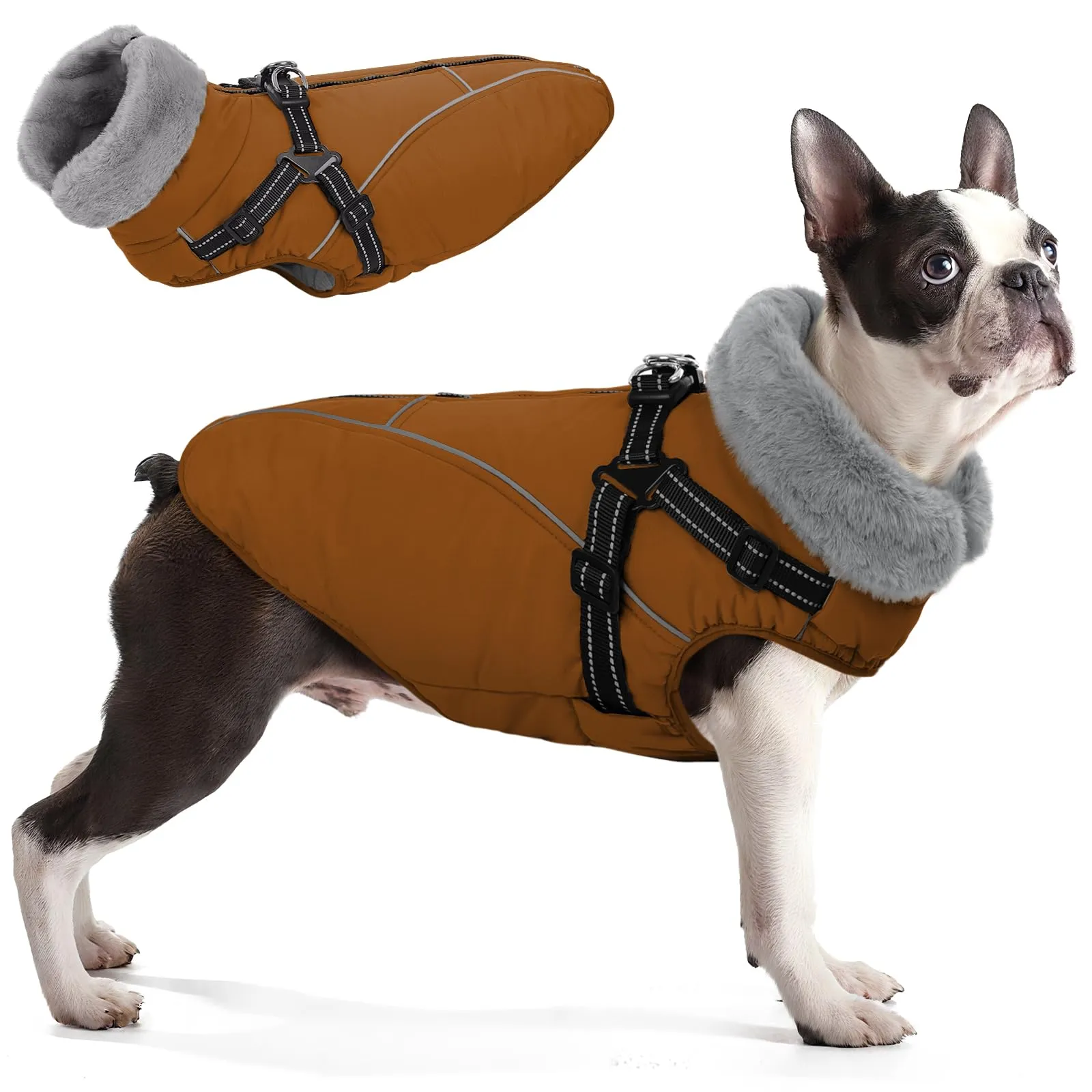 Queenmore Cappottino Cane Taglia Grande Riflettente, Cappotto Bassotto - immagine 1