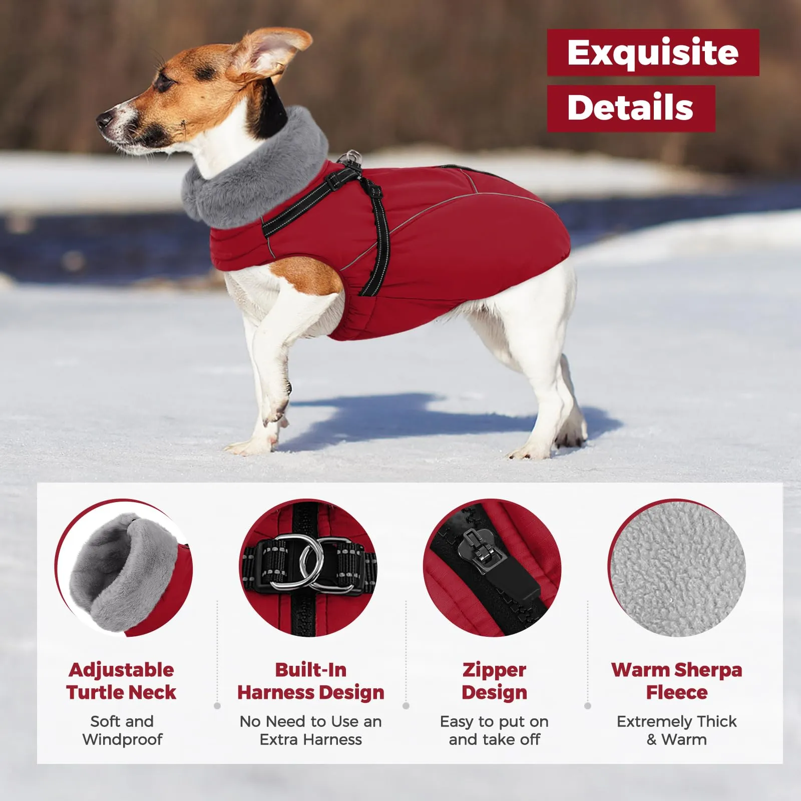 Queenmore Cappotto Cane Taglia Media Impermeabile Chiusura con cerniera - immagine 2