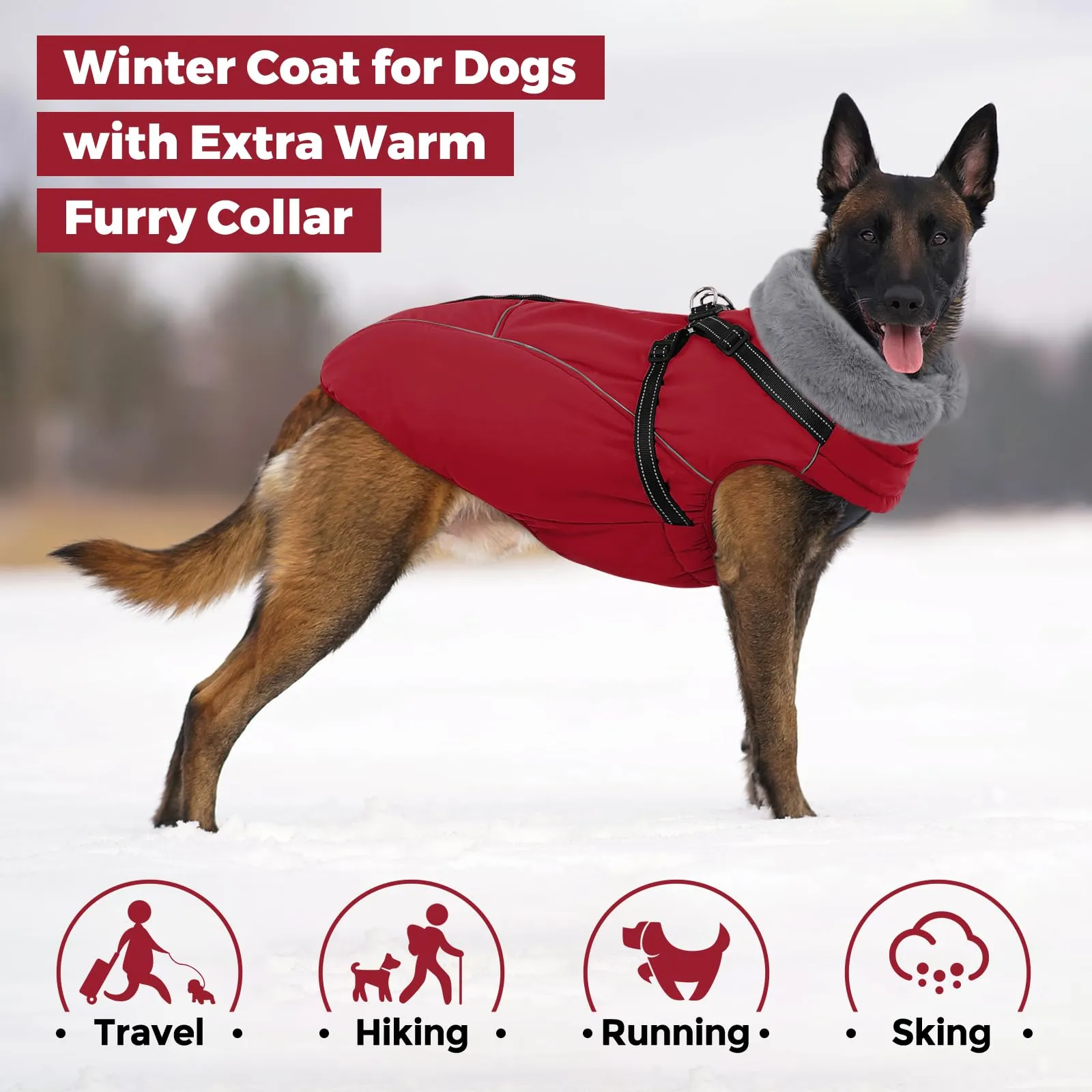 Queenmore Cappotto Cane Taglia Media Impermeabile Chiusura con cerniera - immagine 5