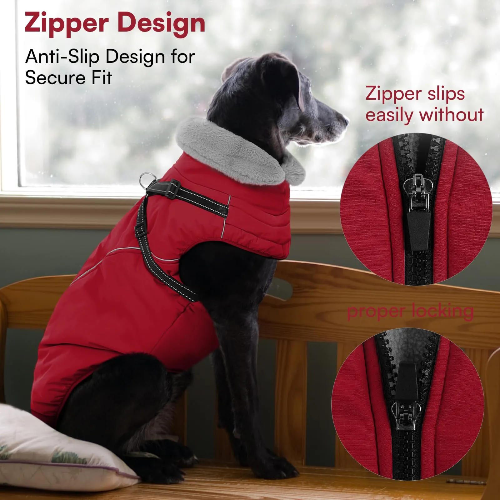 Queenmore Cappotto Cane Taglia Media Impermeabile Chiusura con cerniera - immagine 8