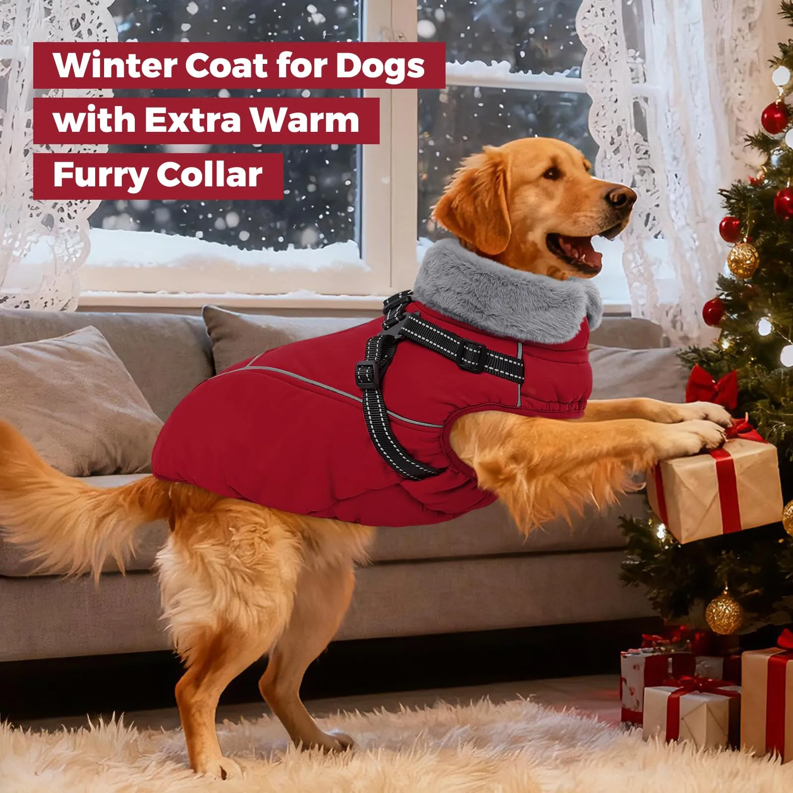 Queenmore Cappotto Impermeabile Cane Riflettente Cappottino Cane con Arnese - immagine 6