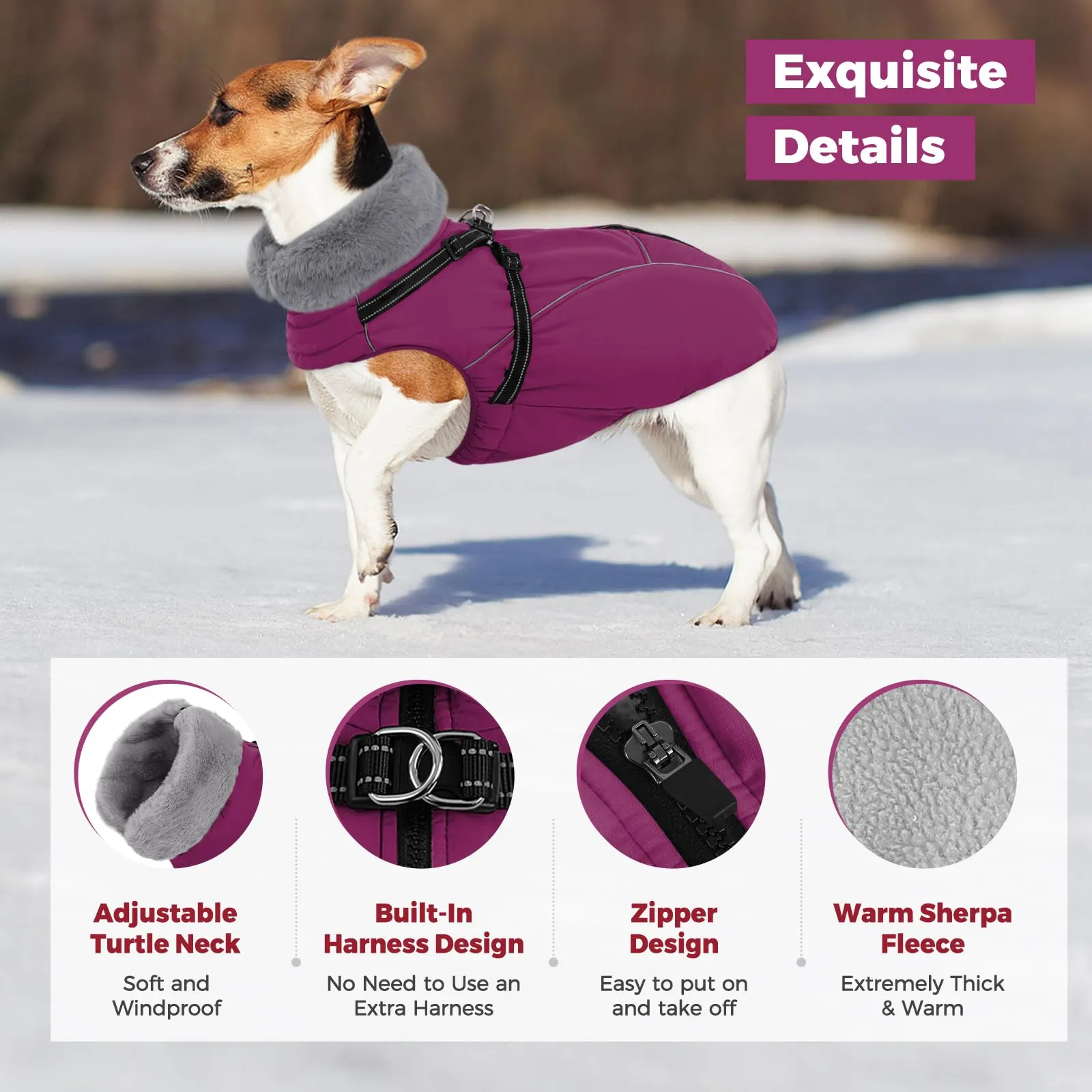 Queenmore Cappottino Cane Taglia Media Riflettente Impermeabile Antivento - immagine 2