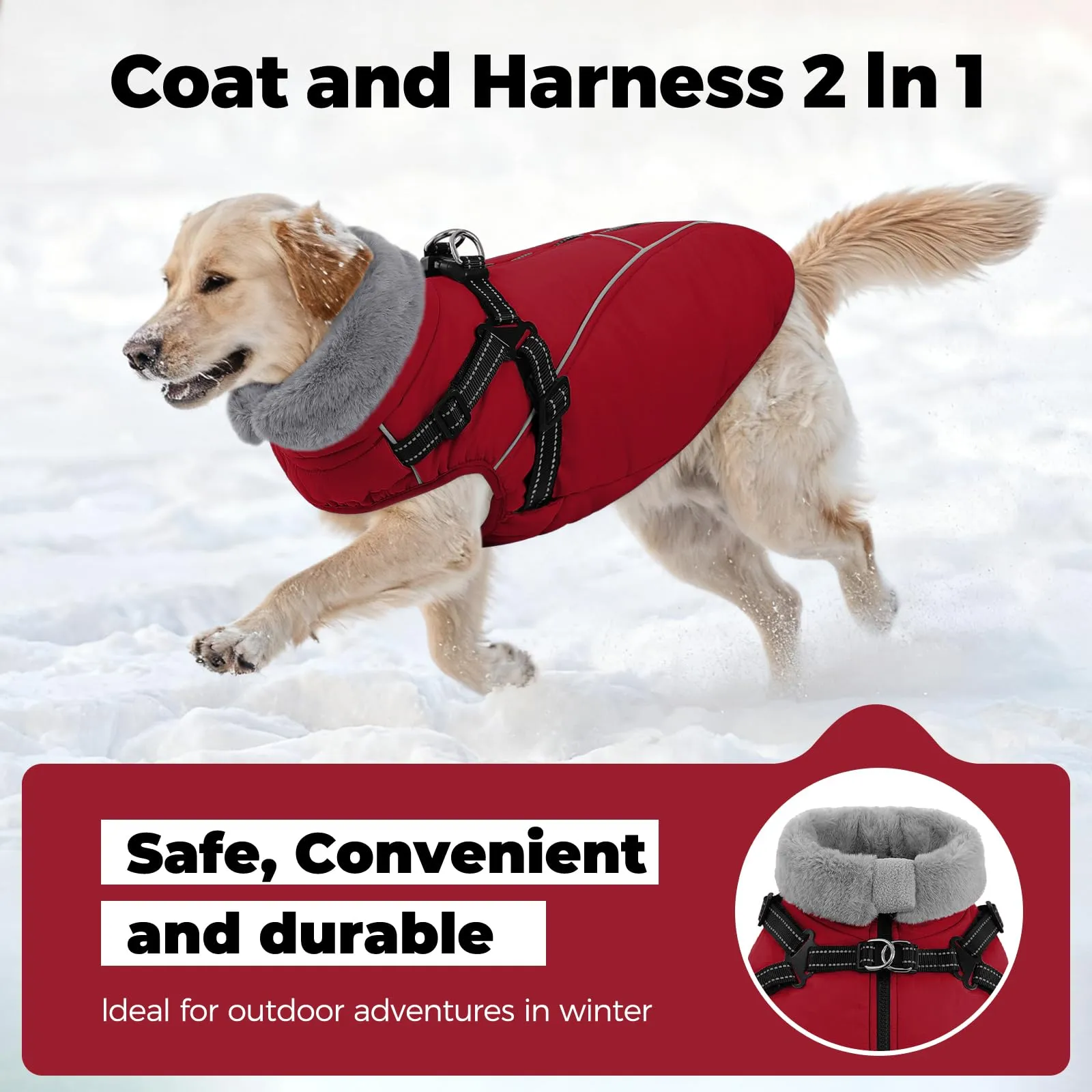 Queenmore Cappotto Cane Taglia Grande Impermeabile Riflettente con Arnese - immagine 4