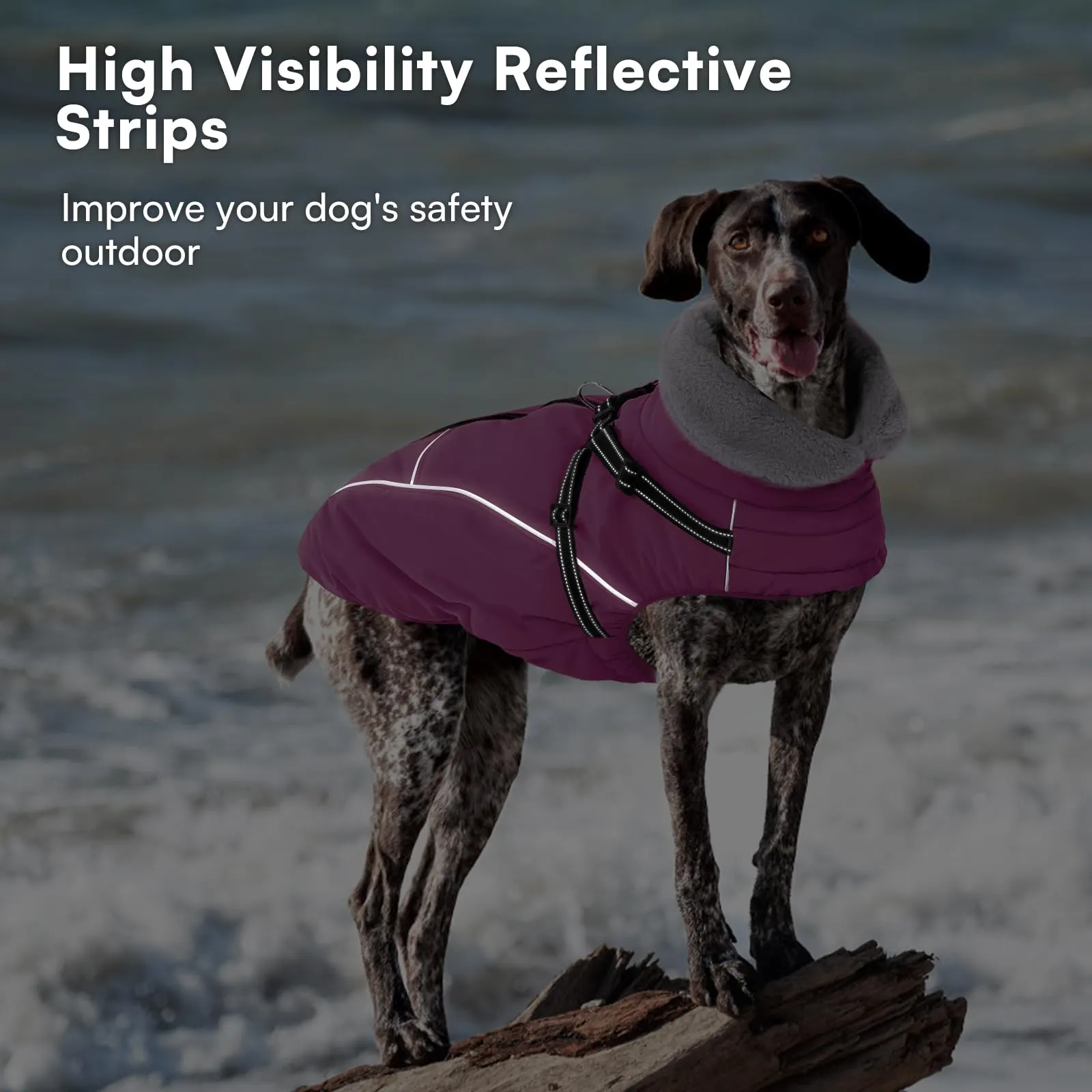 Queenmore Cappotto Cane Taglia Grande Impermeabile Riflettente con Arnese - immagine 8