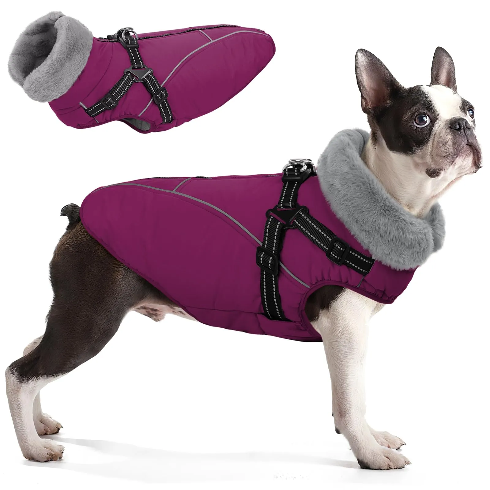 Queenmore Cappotto Impermeabile Cane Caldo, Cappottino Cane Taglia Grande - immagine 1