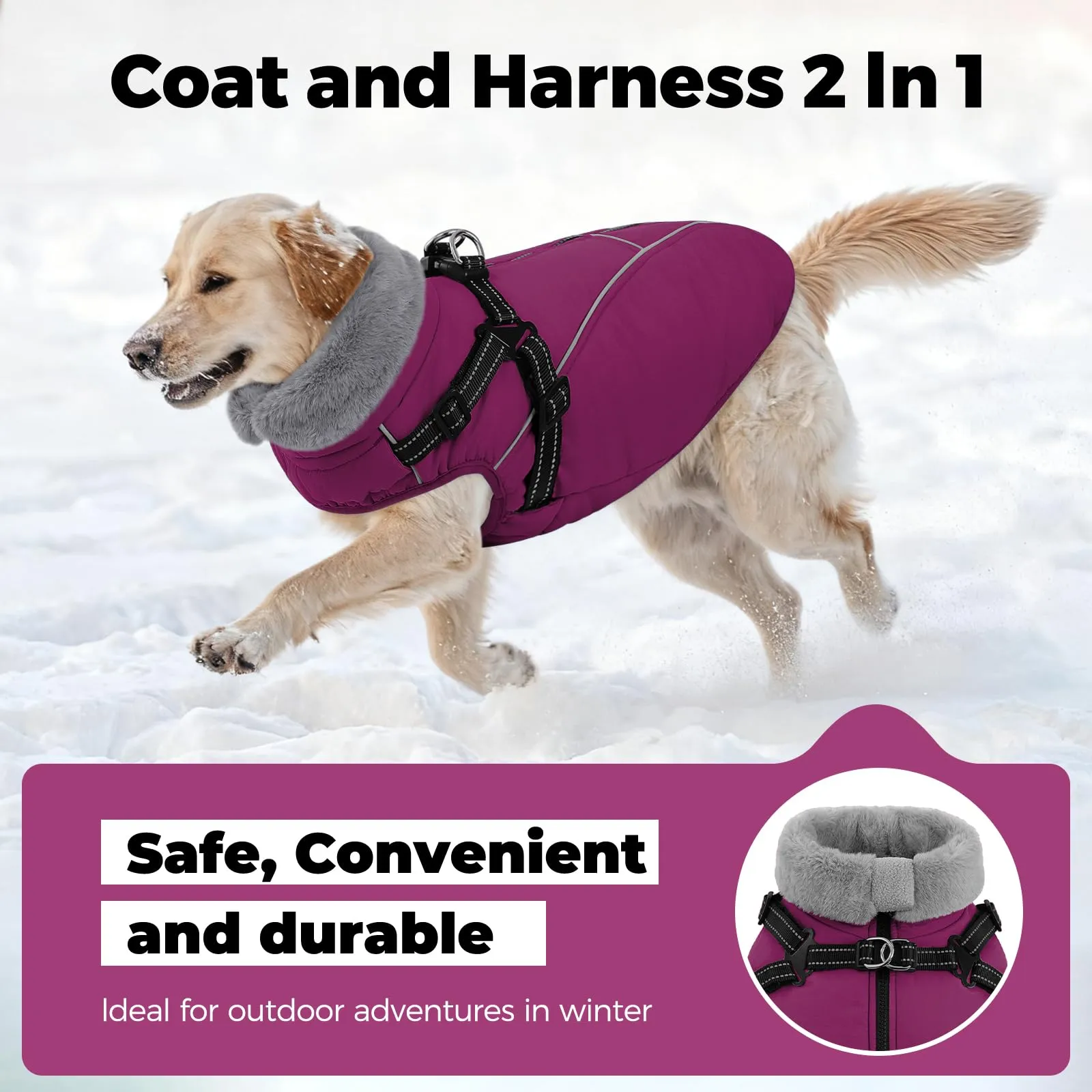 Queenmore Cappotto Impermeabile Cane Caldo, Cappottino Cane Taglia Grande - immagine 4