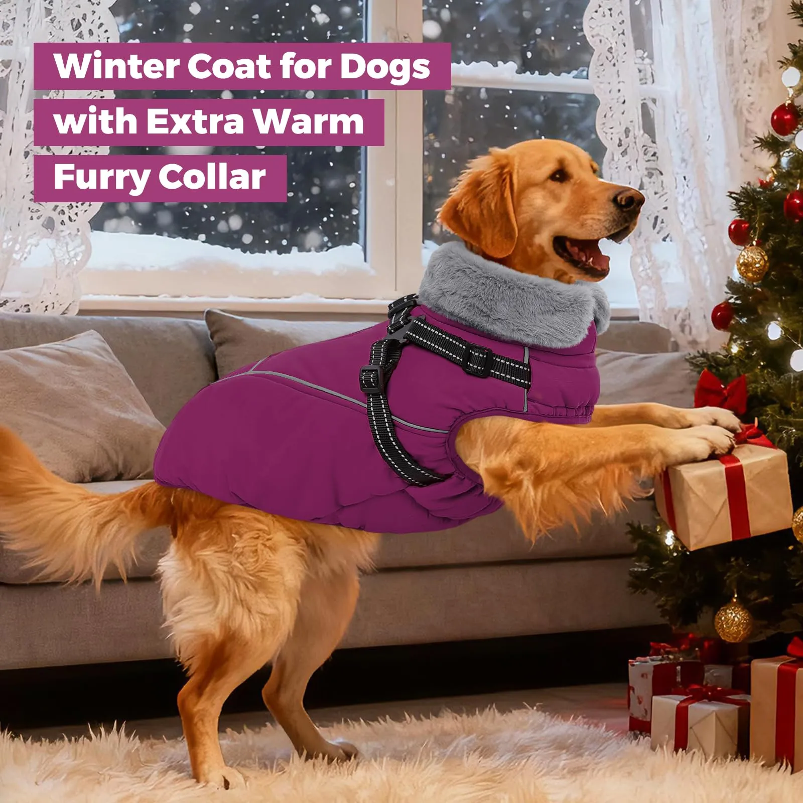 Queenmore Cappotto Impermeabile Cane Caldo, Cappottino Cane Taglia Grande - immagine 6