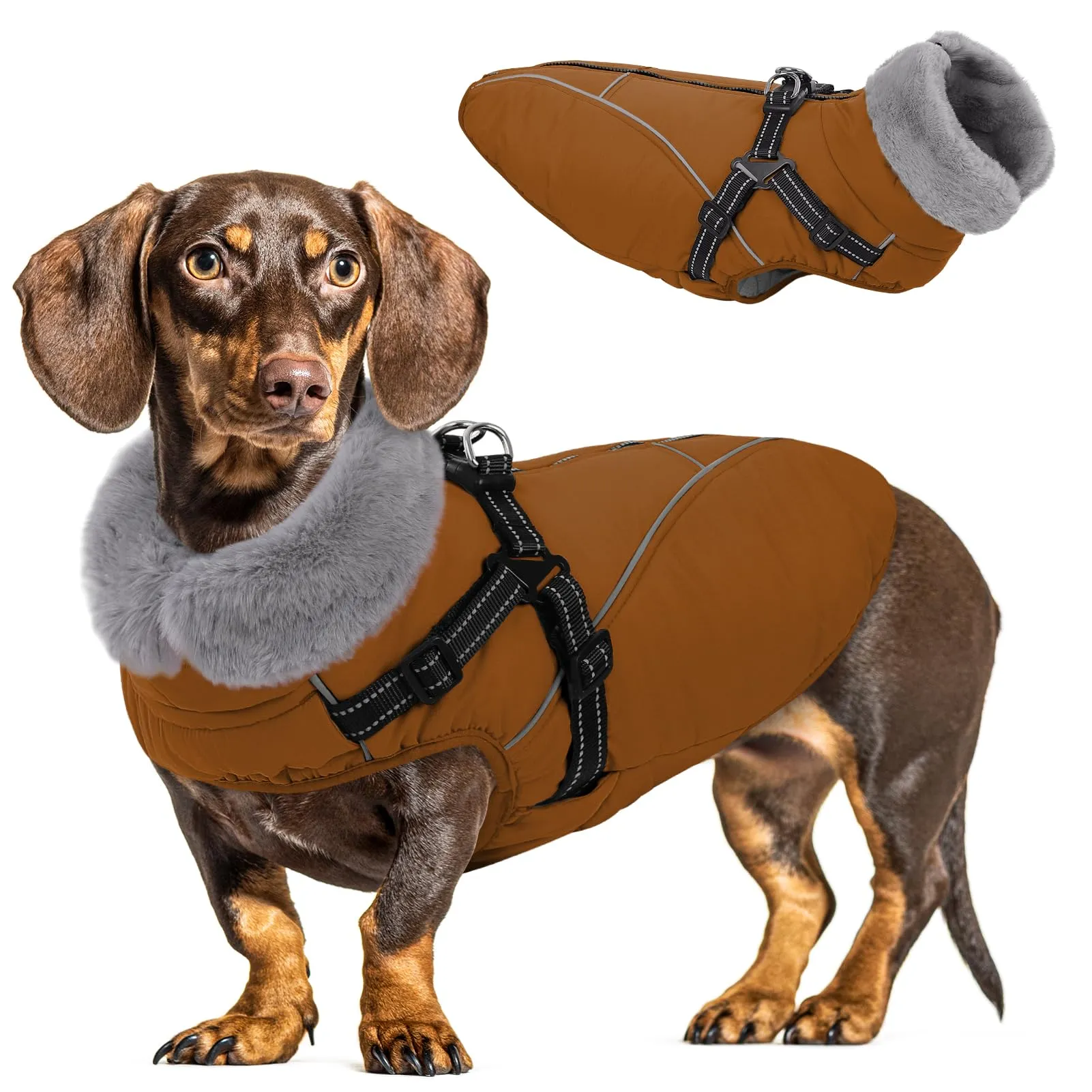 Queenmore Cappotto Cane Taglia Piccola Impermeabile Riflettente con Arnese - immagine 1