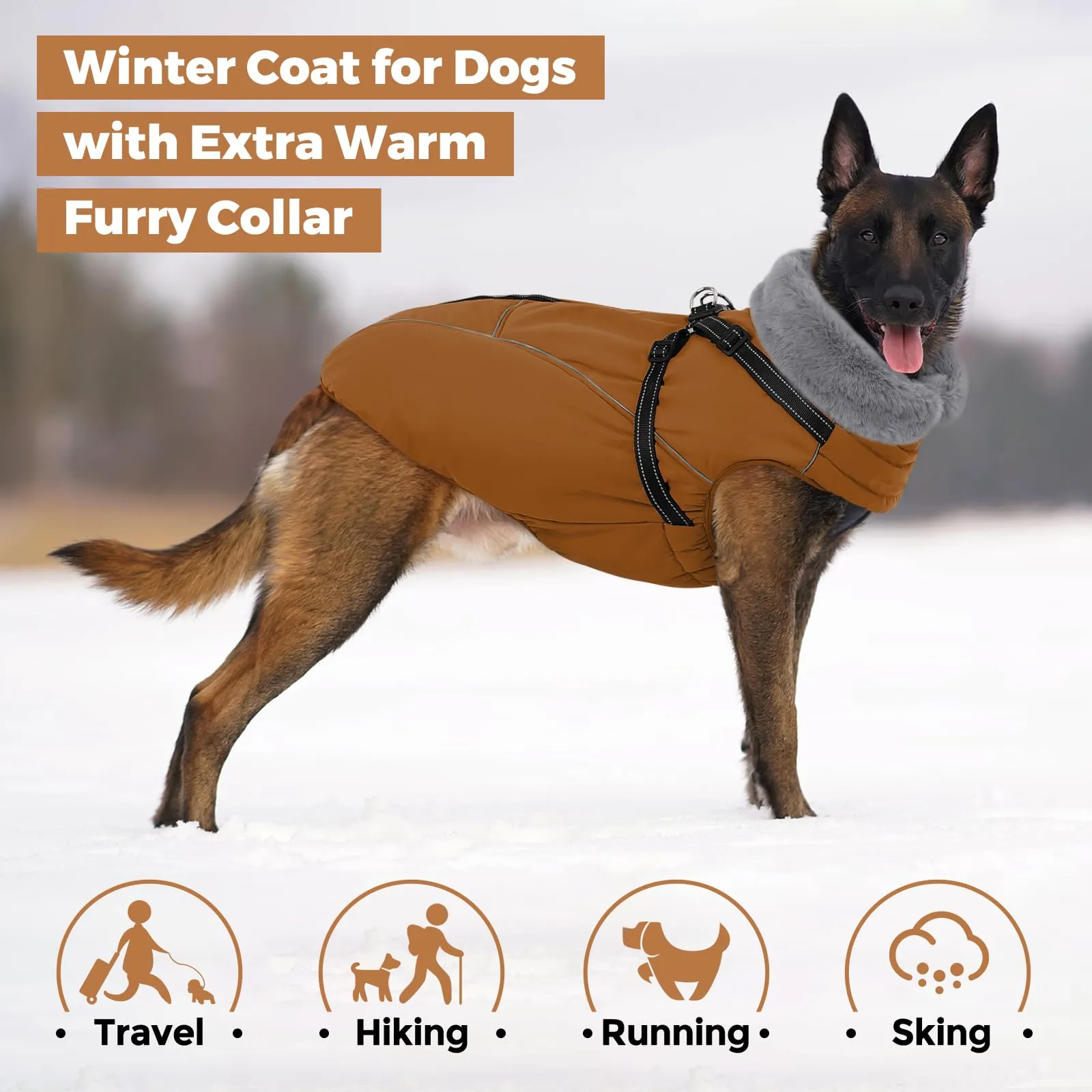 Queenmore Cappotto Cane Taglia Piccola Impermeabile Riflettente con Arnese - immagine 5
