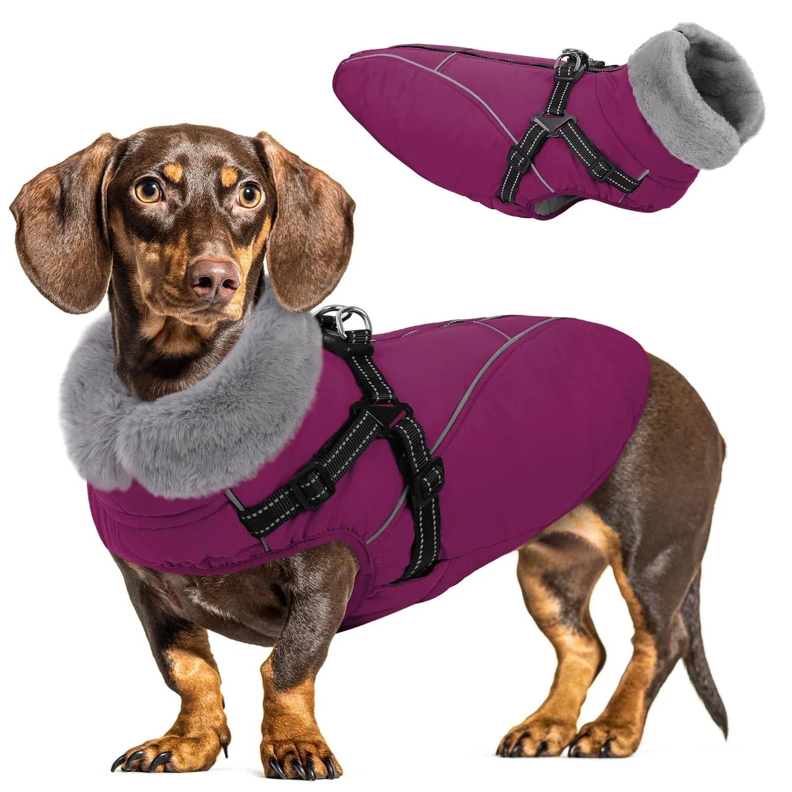 Queenmore Cappottino Cane Taglia Piccola Impermeabile Riflettente - immagine 1