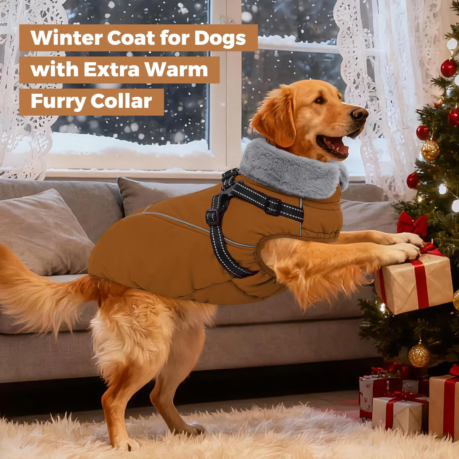 Queenmore Cappotto Cane Taglia Grande XXL, Cappottini Impermeabile - immagine 6