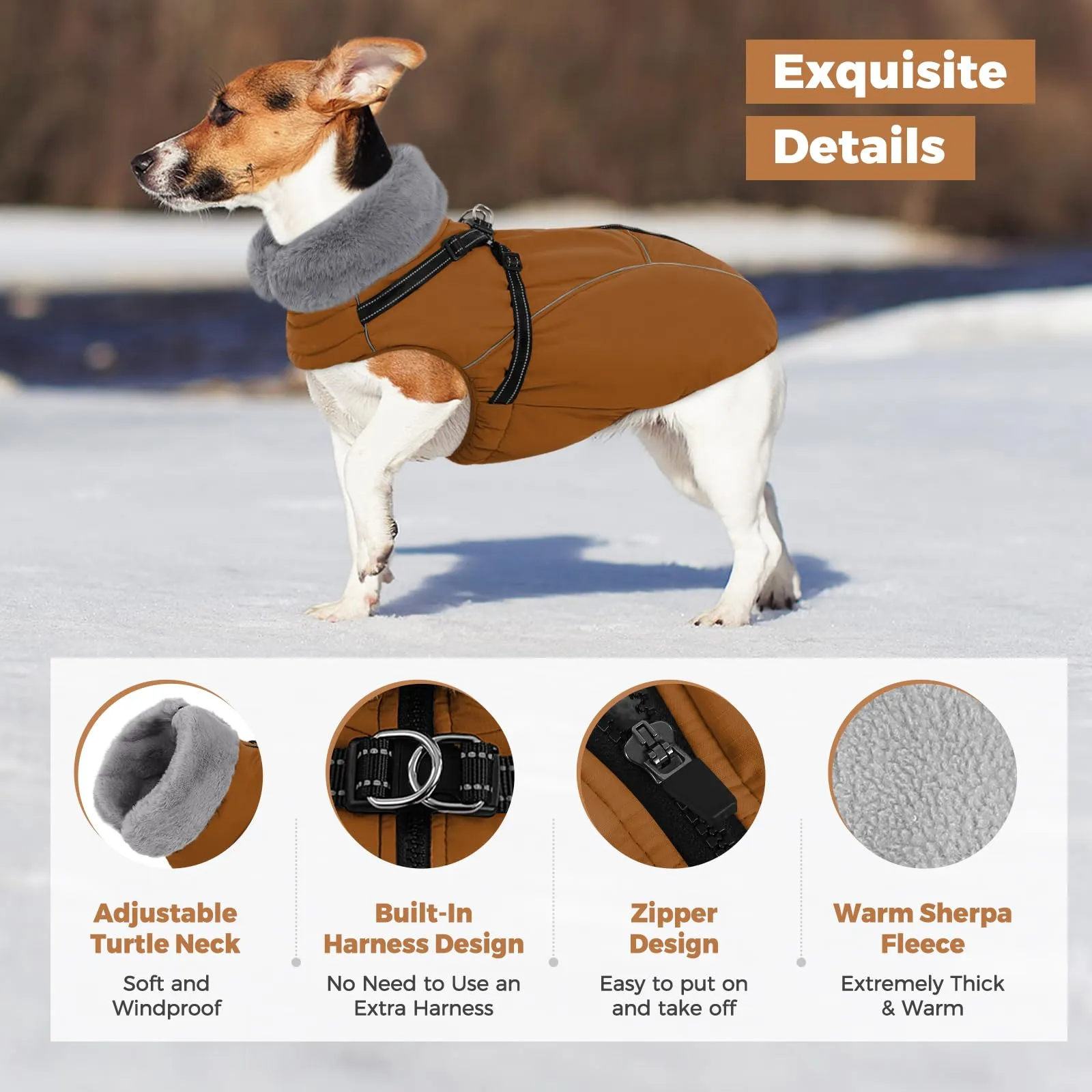 Queenmore Cappotto Impermeabile Cane Riflettente Cappottino Cane con Arnese - immagine 2