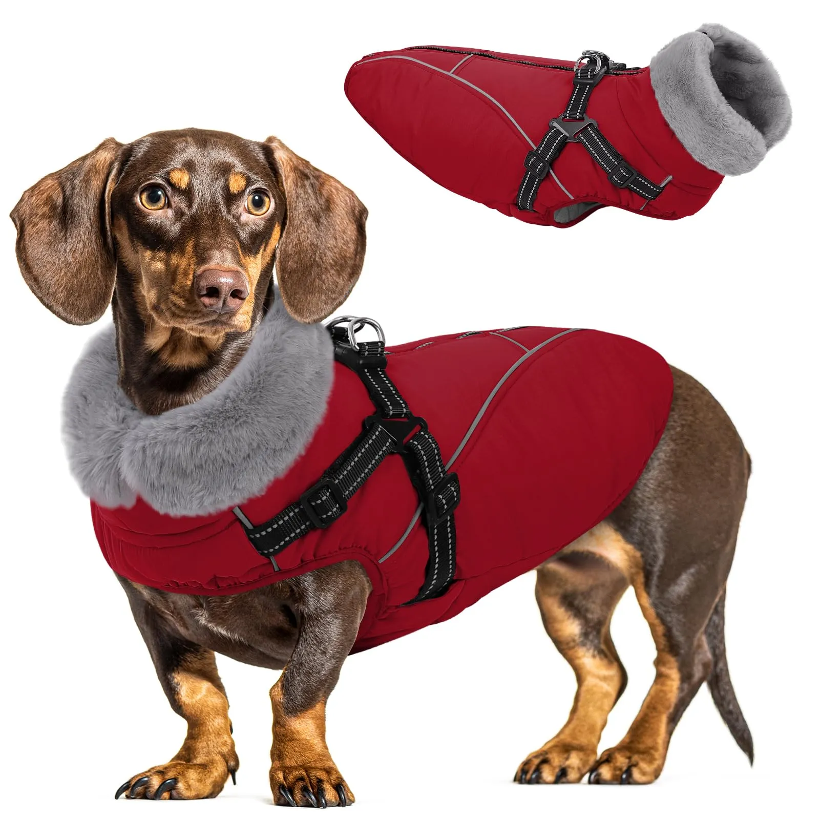 Queenmore Cappottino Cane Taglia Piccola XS, Cappotto Cane Impermeabile - immagine 1