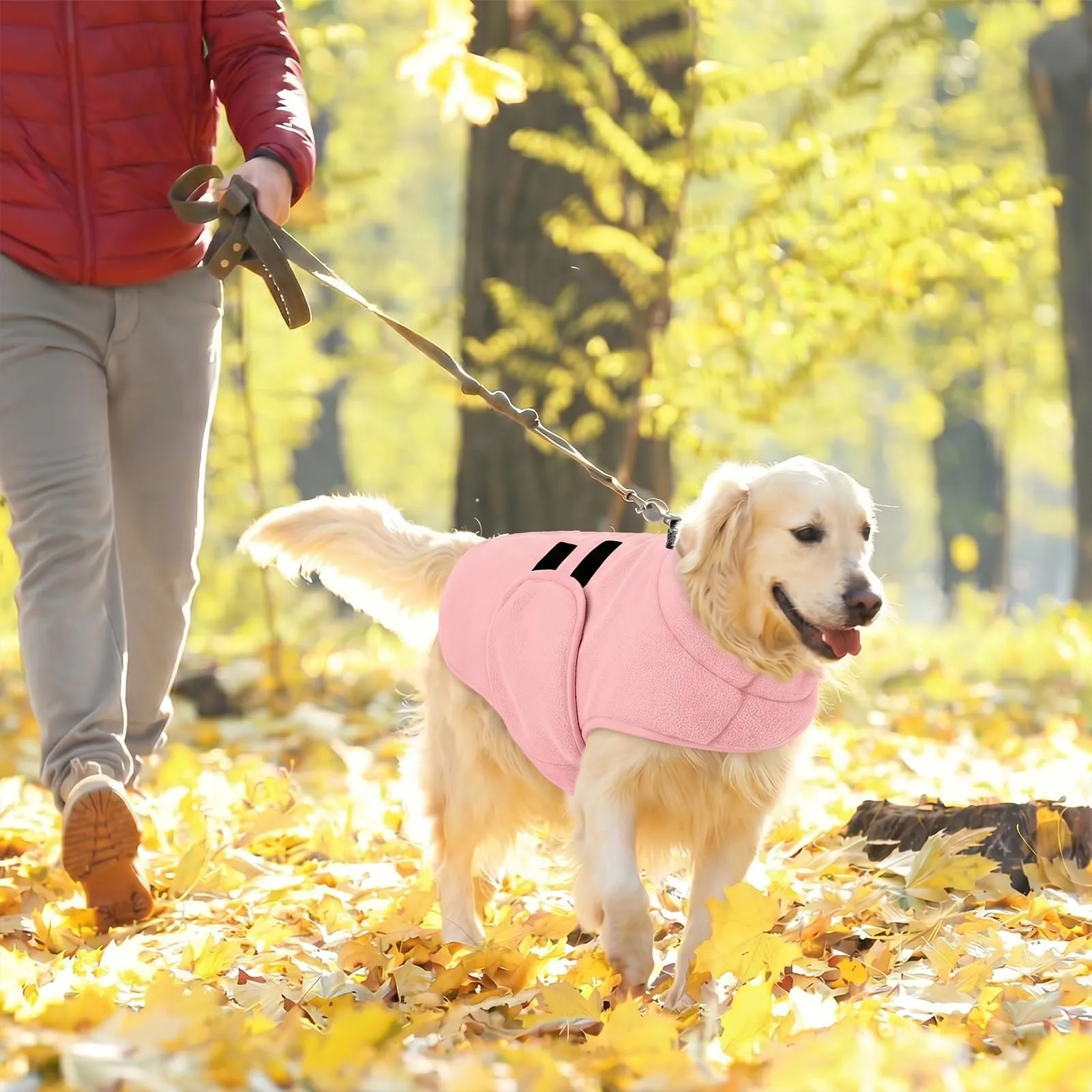 Queenmore Maglione Cane In Pile, Giacca Con Cappuccio Per Cani Piccoli - immagine 9