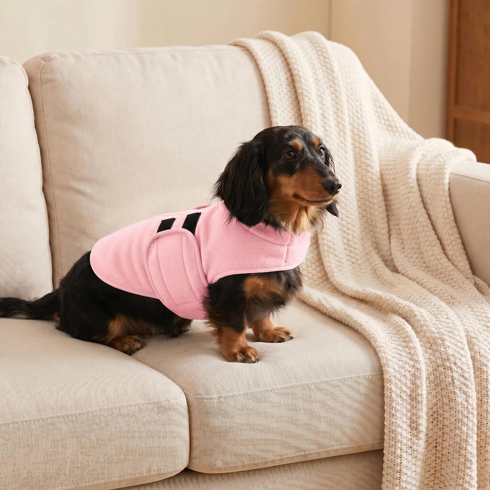 Queenmore Maglione In Pile Per Cani Grandi, Giacca Invernale Per Levrieri - immagine 8