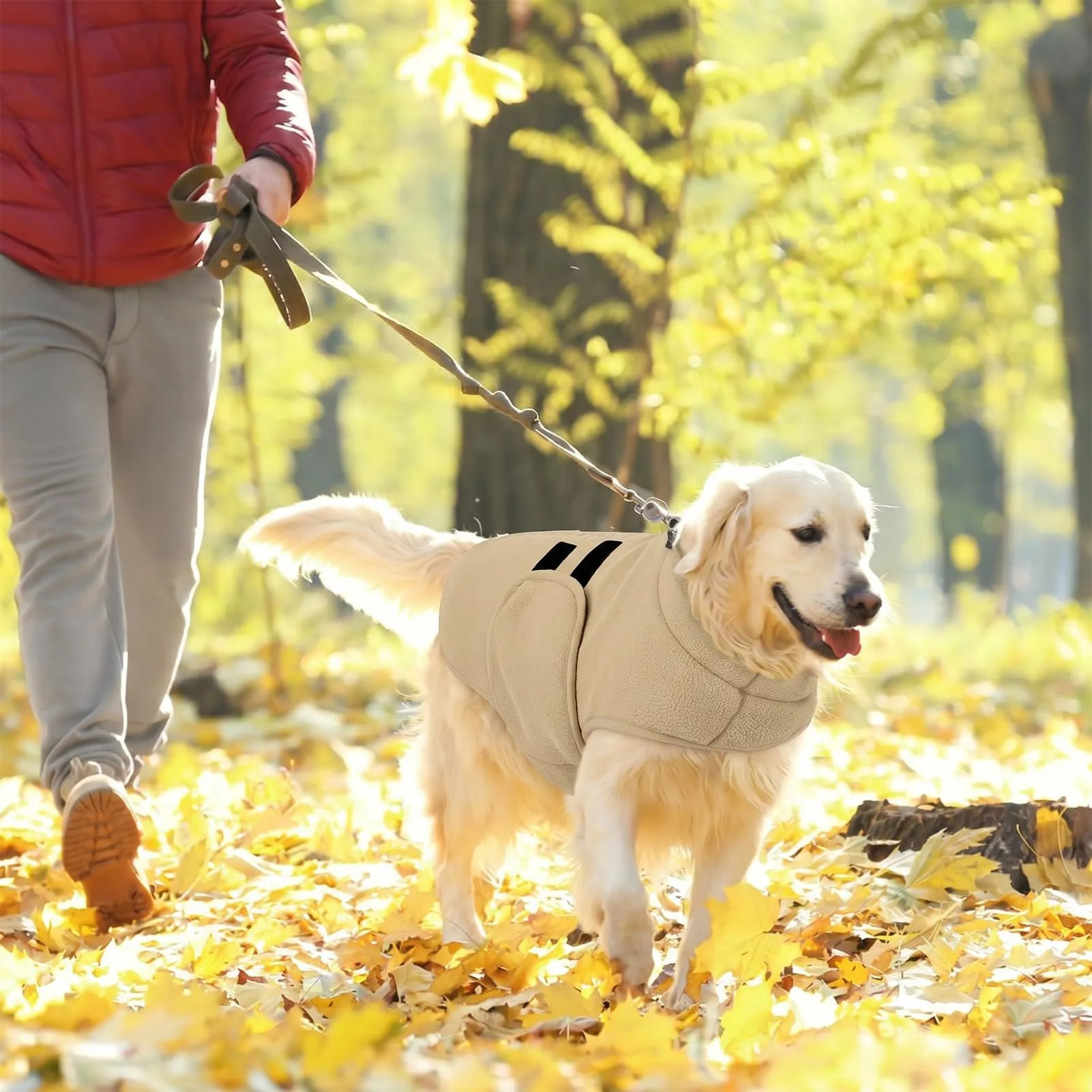 Queenmore Cappotto In Pile Per Bassotto Medio, Maglione Per Cani - immagine 9