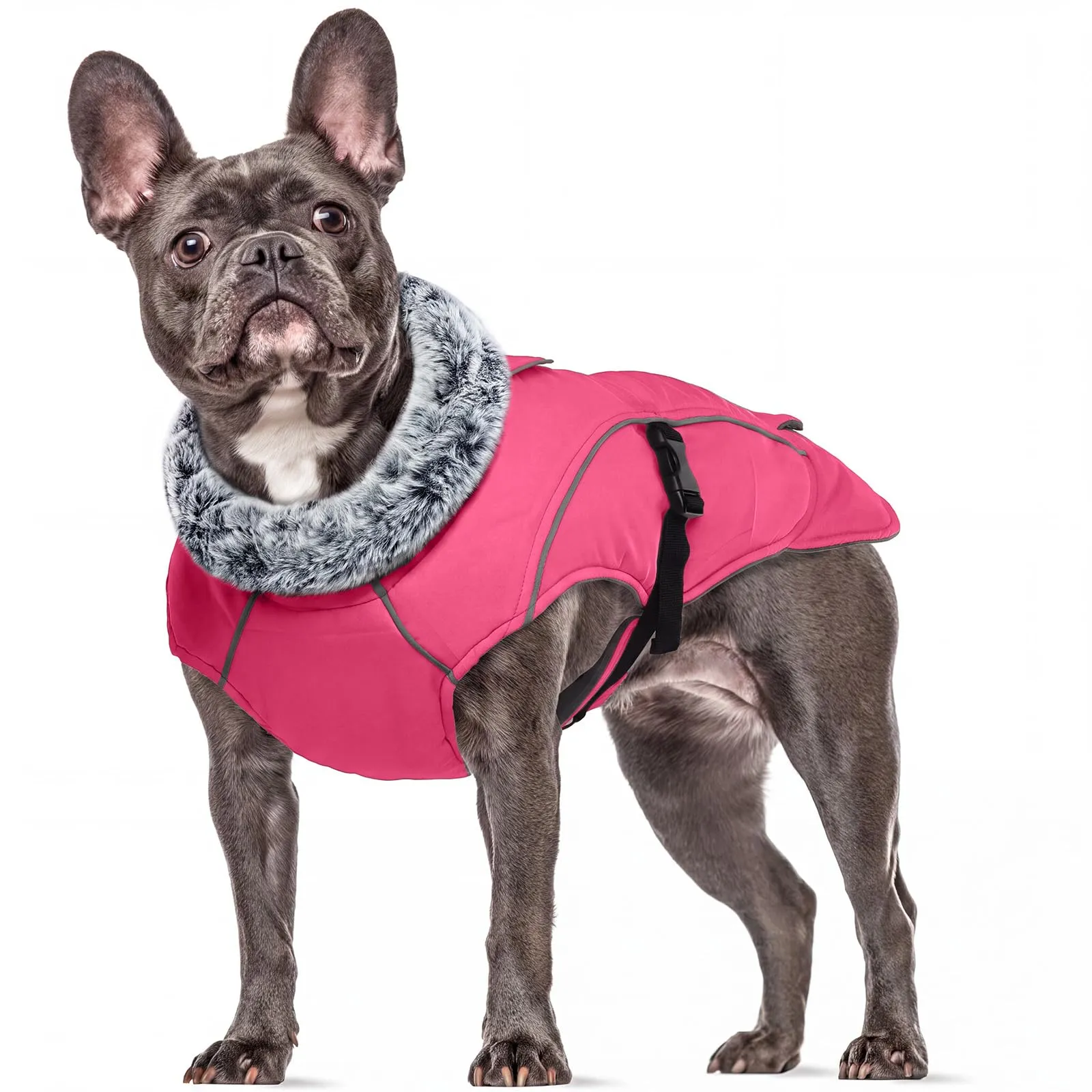 Giacca invernale foderata con foro per guinzaglio, abbigliamento invernale per cani piccoli, giacca antivento per cucciolo (rosa, S) - immagine 1