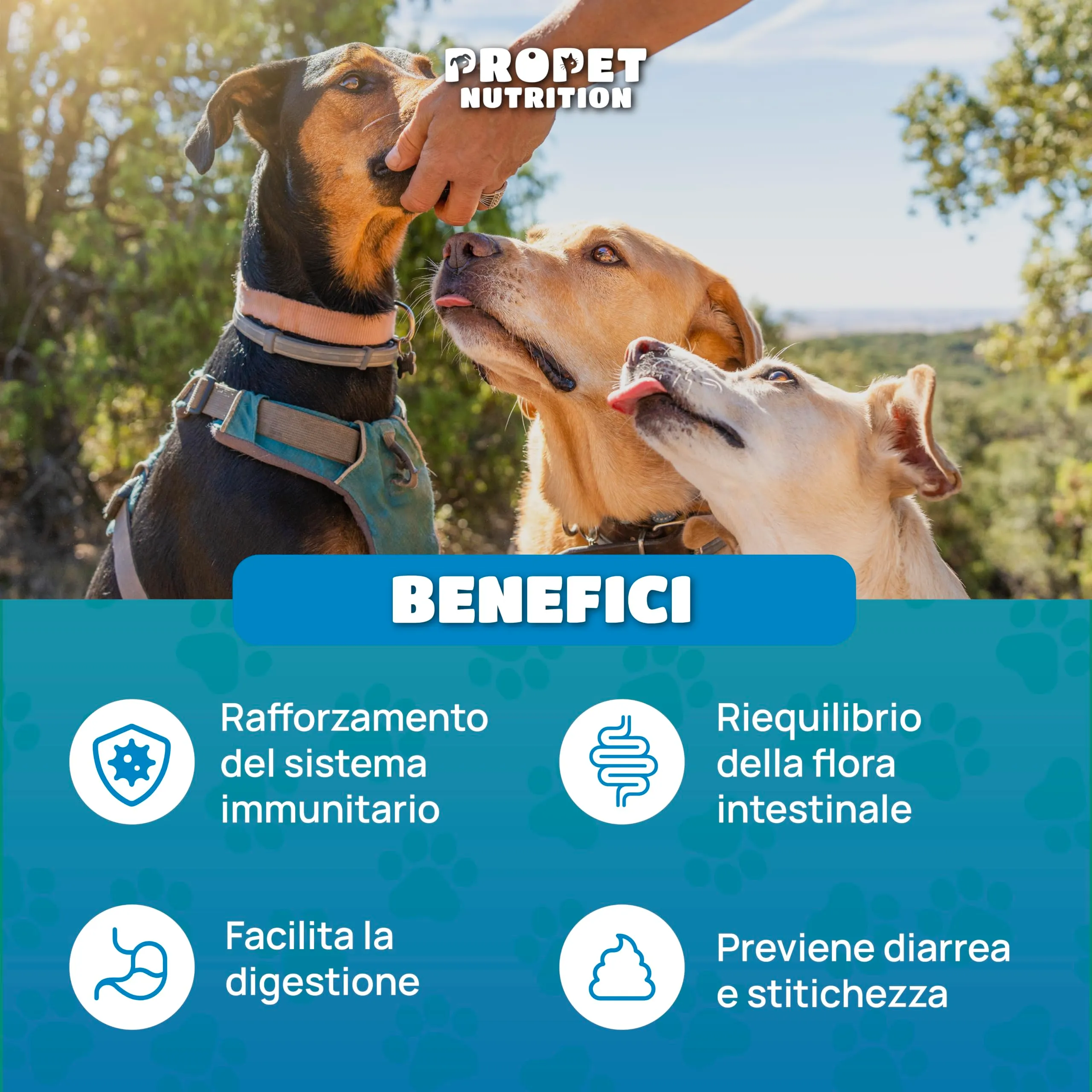 Probiotici per Cani (360 G.) Fermenti Lattici Cane + Prebiotici + Olio di Salmone. Equilibrio Intestinale e Digestione. 5 Miliardi UFC. 120 Masticativi. Ripristino della Flora Batterica. Gusto pollo - immagine 2