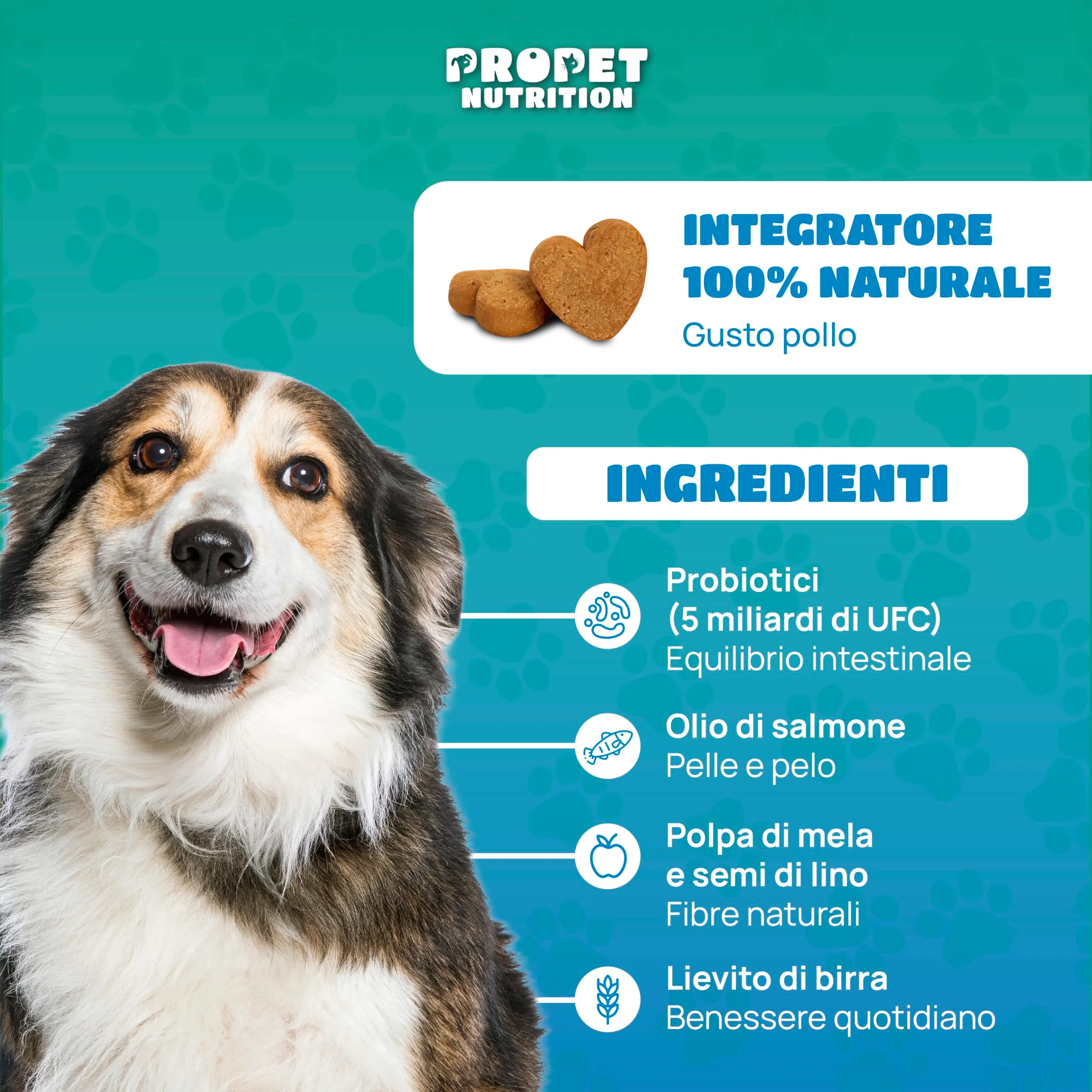Probiotici per Cani (360 G.) Fermenti Lattici Cane + Prebiotici + Olio di Salmone. Equilibrio Intestinale e Digestione. 5 Miliardi UFC. 120 Masticativi. Ripristino della Flora Batterica. Gusto pollo - immagine 3