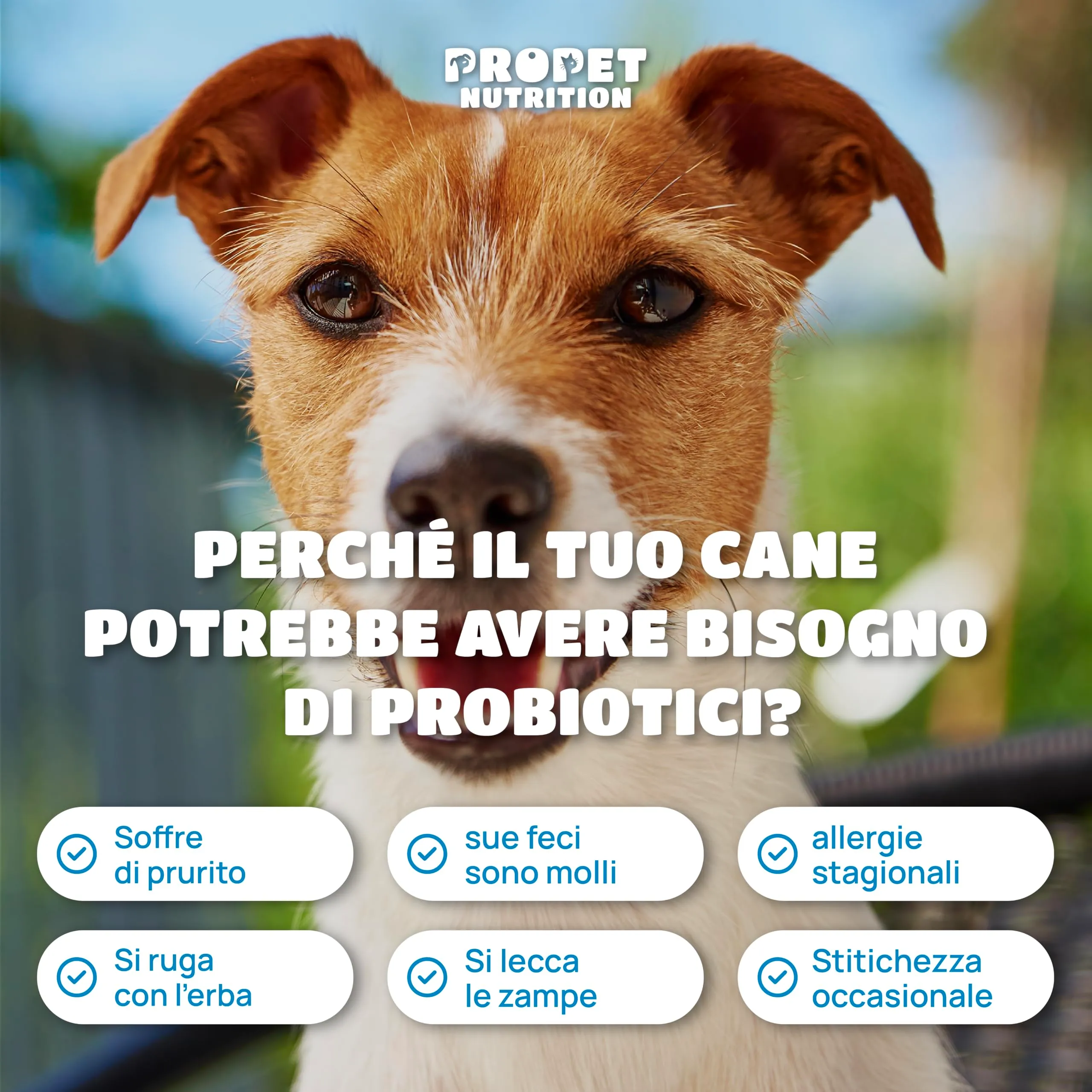 Probiotici per Cani (360 G.) Fermenti Lattici Cane + Prebiotici + Olio di Salmone. Equilibrio Intestinale e Digestione. 5 Miliardi UFC. 120 Masticativi. Ripristino della Flora Batterica. Gusto pollo - immagine 4