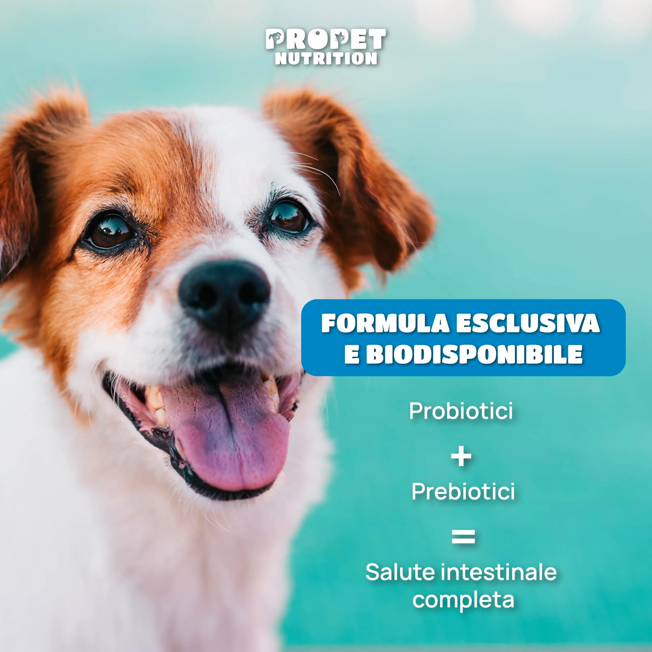Probiotici per Cani (360 G.) Fermenti Lattici Cane + Prebiotici + Olio di Salmone. Equilibrio Intestinale e Digestione. 5 Miliardi UFC. 120 Masticativi. Ripristino della Flora Batterica. Gusto pollo - immagine 7