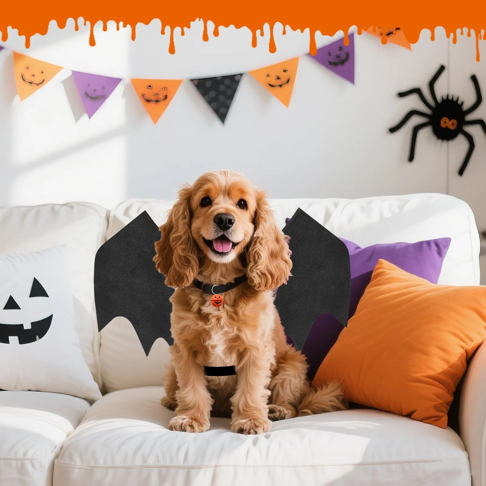 OLANRUN - Costume da Halloween per cani con ali da pipistrello regolabili per cani di taglia media con stampa di zucca e scheletro sulla schiena - Costume da Halloween per cani - immagine 8