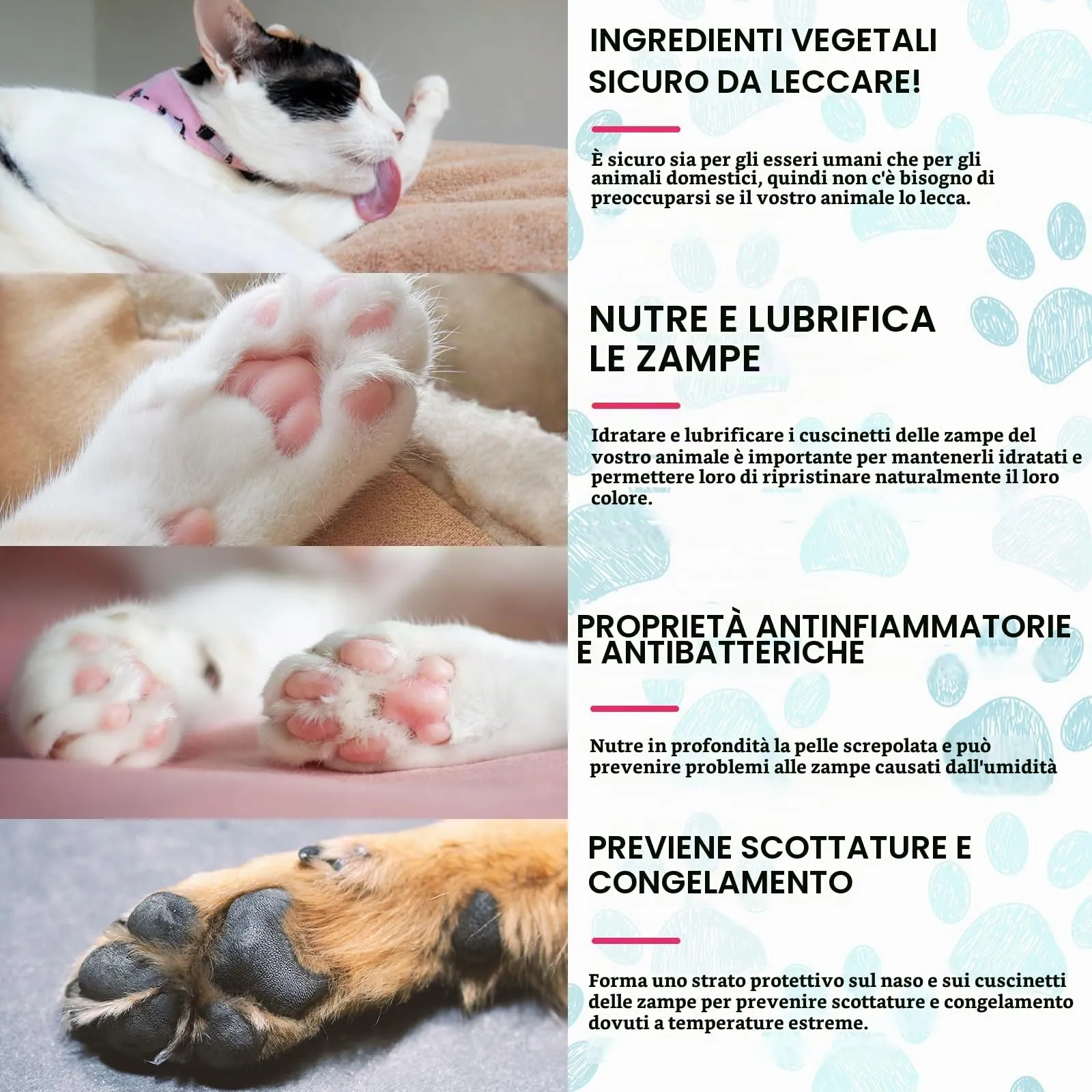 CiAIplw Crema Polpastrelli Cane, Balsamo in Stick Zampe e Naso Cane - immagine 3