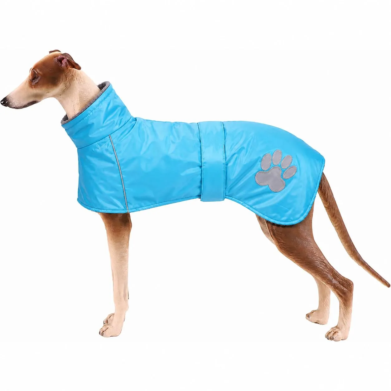 Cappotto Whippet con fodera in lana di agnello levriero in pile con fasce - immagine 1
