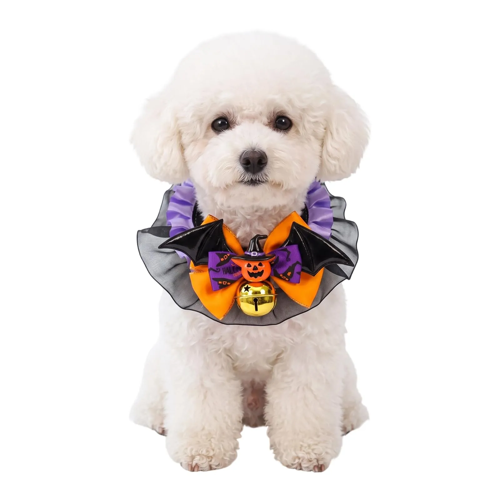 Collare Cane Halloween con Papillon Zucca, Collare Regolabile per Cani Taglia L, Accessori Halloween Animali Domestici per Travestimento Festa - immagine 1