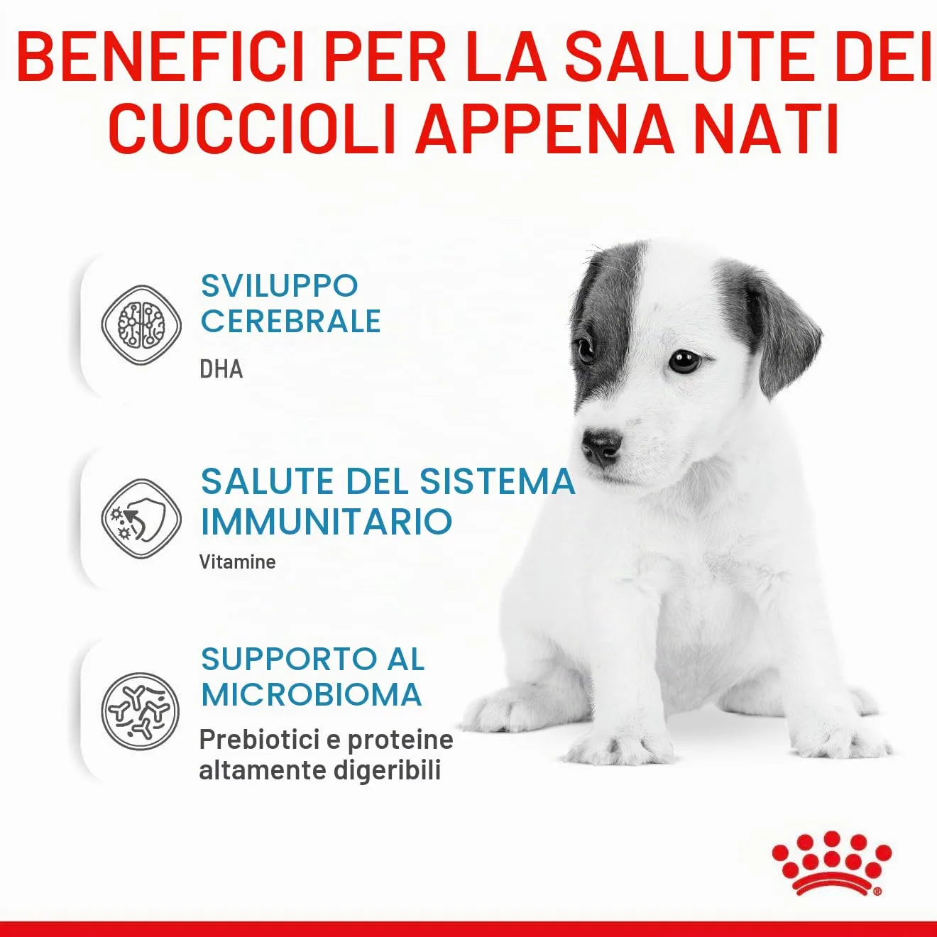 Royal Canin Dog Food Babydog Latte 2 kg - immagine 4