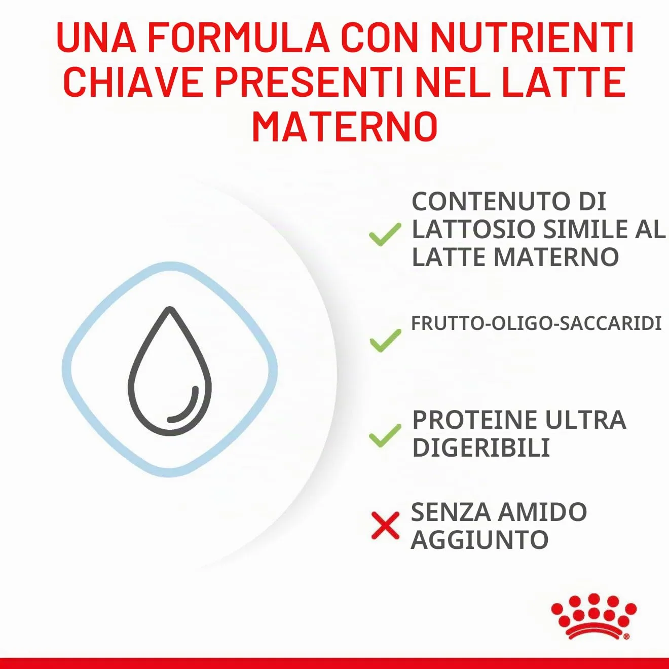 Royal Canin Dog Food Babydog Latte 2 kg - immagine 7