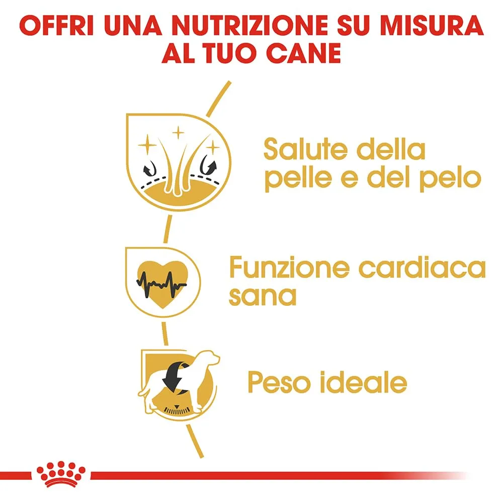 ROYAL CANIN Golden Retriever Adult - Cibo secco per cani - 12kg - immagine 5