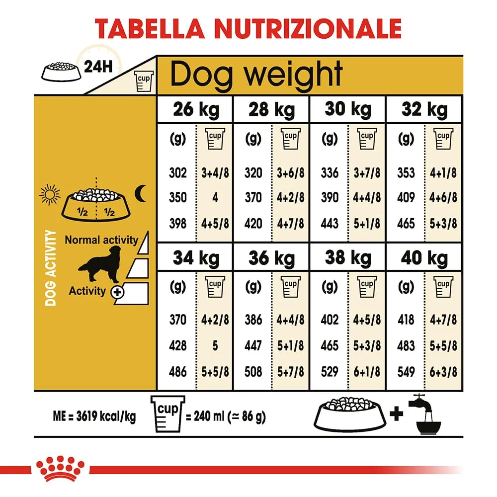 ROYAL CANIN Golden Retriever Adult - Cibo secco per cani - 12kg - immagine 7