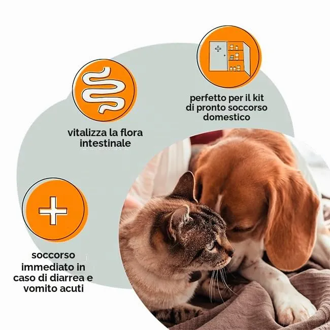 GRAU L'originale Sanofor, Brugo naturale per la flora intestinale, neutralizza l'eccesso di succhi gastrici e riduce l'acidità gastrica, integratore alimentare per cani e gatti, 1 confezione da 1 kg - immagine 2