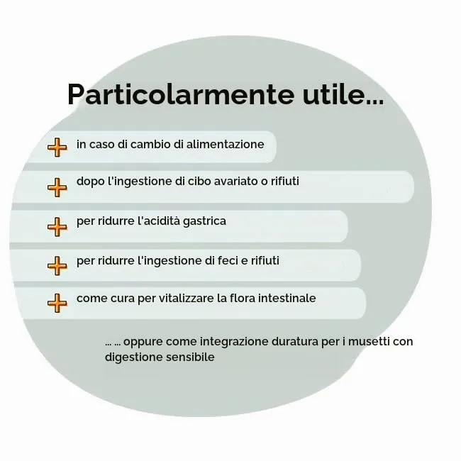 GRAU L'originale Sanofor, Brugo naturale per la flora intestinale, neutralizza l'eccesso di succhi gastrici e riduce l'acidità gastrica, integratore alimentare per cani e gatti, 1 confezione da 1 kg - immagine 3