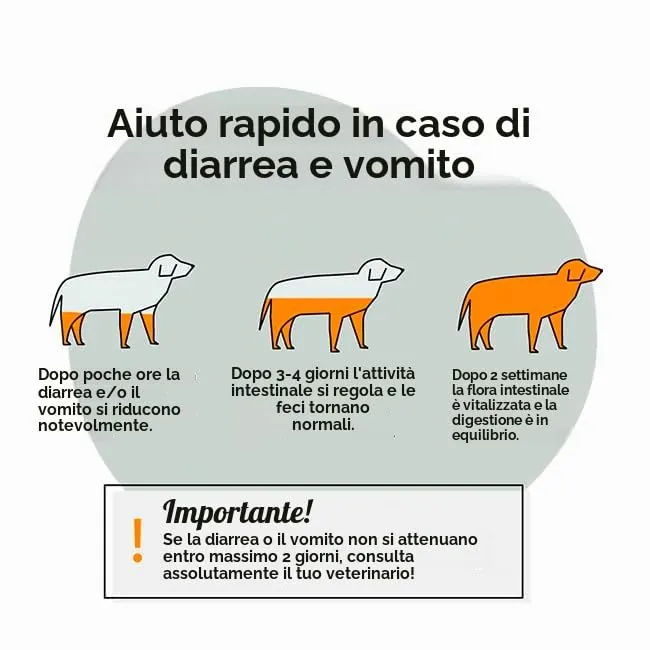 GRAU L'originale Sanofor, Brugo naturale per la flora intestinale, neutralizza l'eccesso di succhi gastrici e riduce l'acidità gastrica, integratore alimentare per cani e gatti, 1 confezione da 1 kg - immagine 5