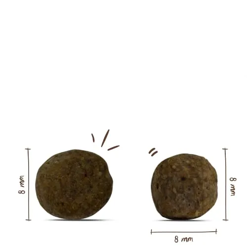 bosch HPC Mini Senior | Cibo secco per cani anziani di piccole razze (fino a 15 kg) | 2500 g - immagine 7
