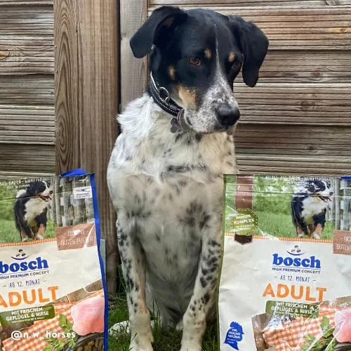 bosch HPC Mini Adult | con pollame fresco e miglio | Cibo secco per cani adulti di razze piccole (fino a 15 kg) |3000 g - immagine 5