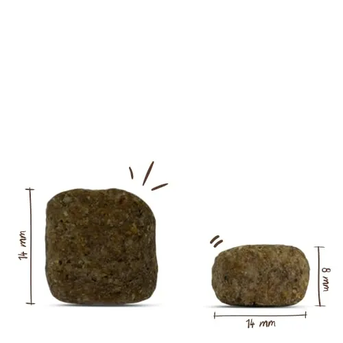 bosch HPC Medium Junior | Cibo secco per cani di razza media | 1 x 15000 g - immagine 3