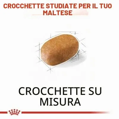 Maltby - 2 confezioni di cibo per cani Royal Canin per maltesi adulti, confezione da 1,5 Kg (3 kg in totale) - immagine 3