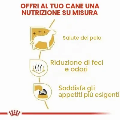 Maltby - 2 confezioni di cibo per cani Royal Canin per maltesi adulti, confezione da 1,5 Kg (3 kg in totale) - immagine 5