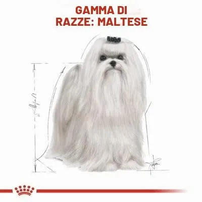 Maltby - 2 confezioni di cibo per cani Royal Canin per maltesi adulti, confezione da 1,5 Kg (3 kg in totale) - immagine 8